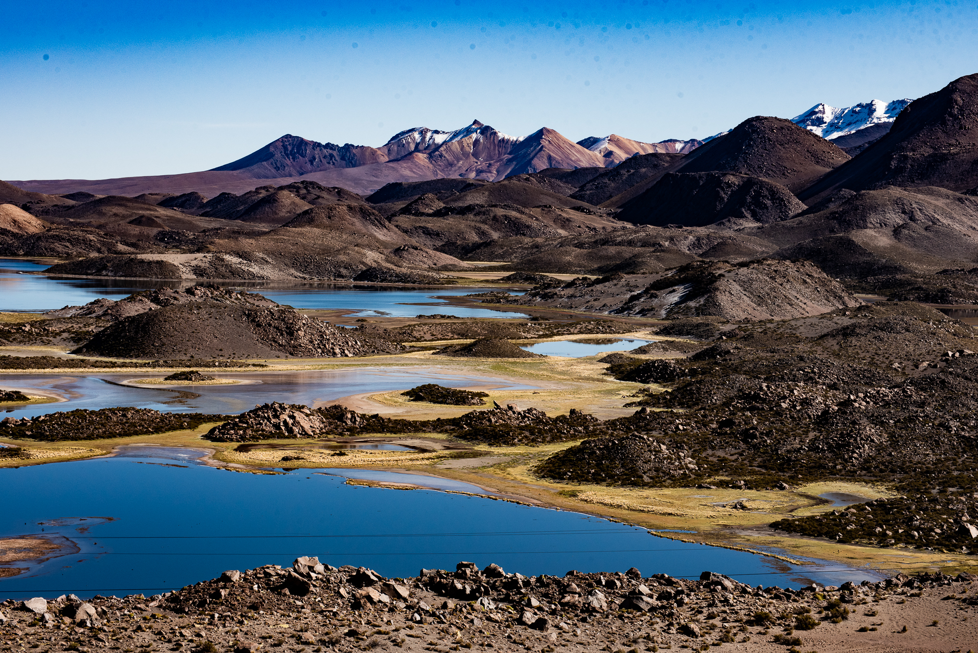 Chile: Touring Arica & the Altiplano in the Far North